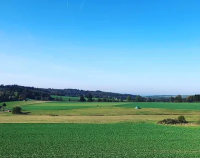 Perfekt inszenierte Feier mit hochwertiger Dekoration, emotionalen Momenten und besonderen Erinnerun