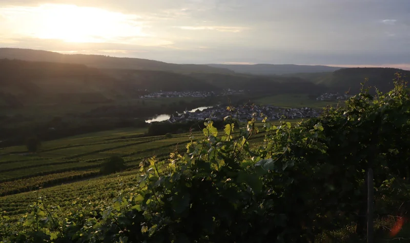 Weingut Alten