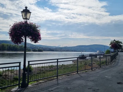 Das ist die Beschreibung des Bildes für die Location im Rheingau. Wein, Location, Hochzeit. Perfekt