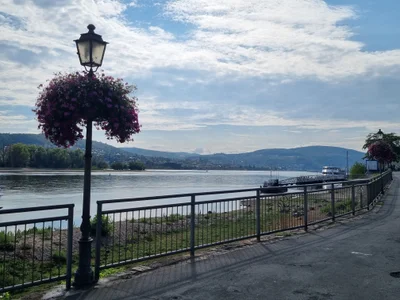 Das ist die Beschreibung des Bildes für die Location im Rheingau. Wein, Location, Hochzeit. Perfekt