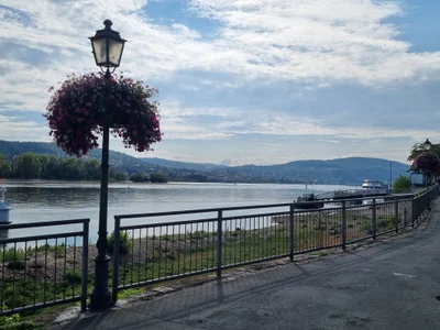 Das ist die Beschreibung des Bildes für die Location im Rheingau. Wein, Location, Hochzeit. Perfekt