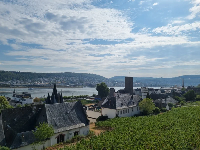 Das ist die Beschreibung des Bildes für die Location im Rheingau. Wein, Location, Hochzeit. Perfekt