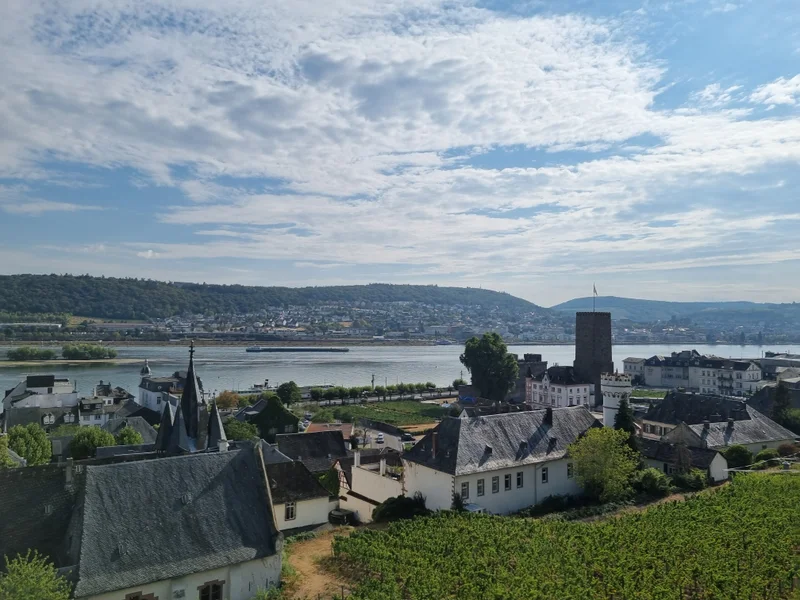 Das ist die Beschreibung des Bildes für die Location im Rheingau. Wein, Location, Hochzeit. Perfekt