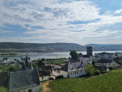 Das ist die Beschreibung des Bildes für die Location im Rheingau. Wein, Location, Hochzeit. Perfekt