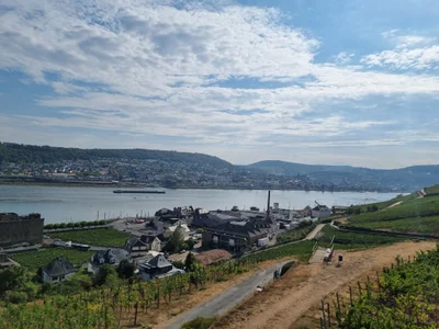 Das ist die Beschreibung des Bildes für die Location im Rheingau. Wein, Location, Hochzeit. Perfekt