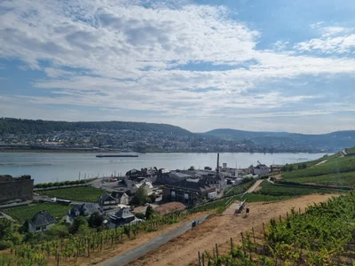 Das ist die Beschreibung des Bildes für die Location im Rheingau. Wein, Location, Hochzeit. Perfekt