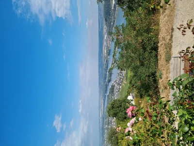 Das ist die Beschreibung des Bildes für die Location im Rheingau. Wein, Location, Hochzeit. Perfekt