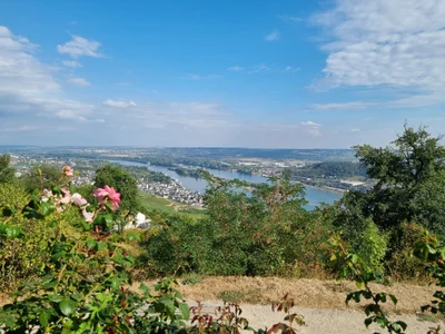 Das ist die Beschreibung des Bildes für die Location im Rheingau. Wein, Location, Hochzeit. Perfekt