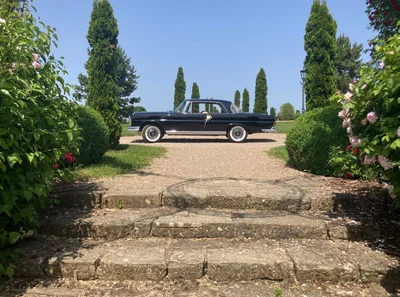 Ein besonderes Hochzeitsauto macht die Fahrt zu einem unvergesslichen Teil des Hochzeitstages.