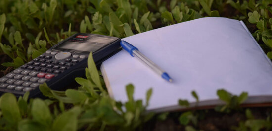 Hochzeit finanzieren: der Budget-Ratgeber für eine stressfreie Planung Hochzeit finanzieren: der Budget-Ratgeber für eine stressfreie Planung